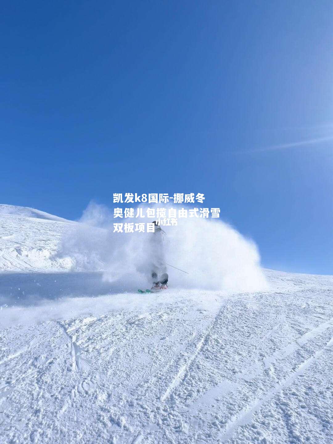 挪威冬奥健儿包揽自由式滑雪双板项目